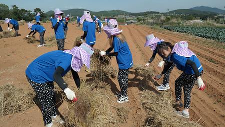 2017학년도 춘계 농촌봉사활동 